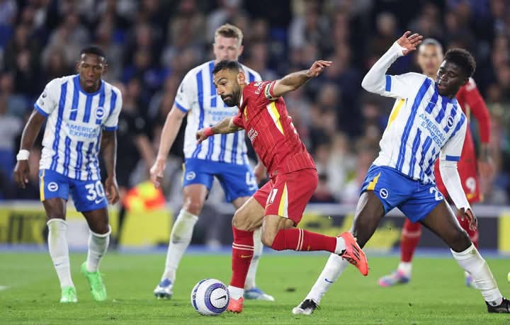 WhatsApp Image 2025-05-20 at 00.24.10_dc633a06